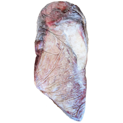 SF Brisket Greater Omaha<br>frossen