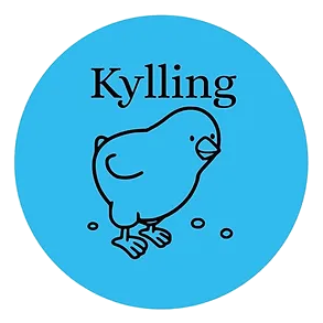 Kylling <br><b>BURGERE 60stk</b>