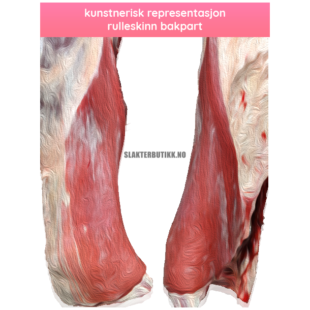 MATAMBRE / RULESKINN