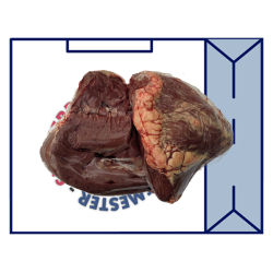 OX HJERTER (FH) +10 KG