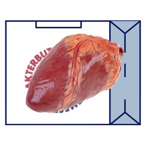 OX HJERTER (FH) +10 KG