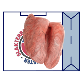 SF LUNGER (FH) +10 KG