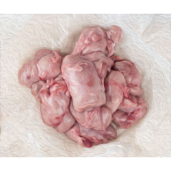 &#10052;&#65039; MOLLEJAS / KALV BRISSEL <br><b>3 Kg</b>