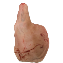 �&frasl;₂ Fresh Gris