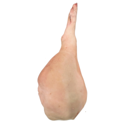 �&frasl;₂ Fresh Gris