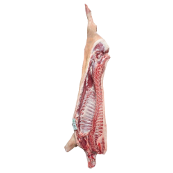 &frasl;&#8322; Fresh Gris